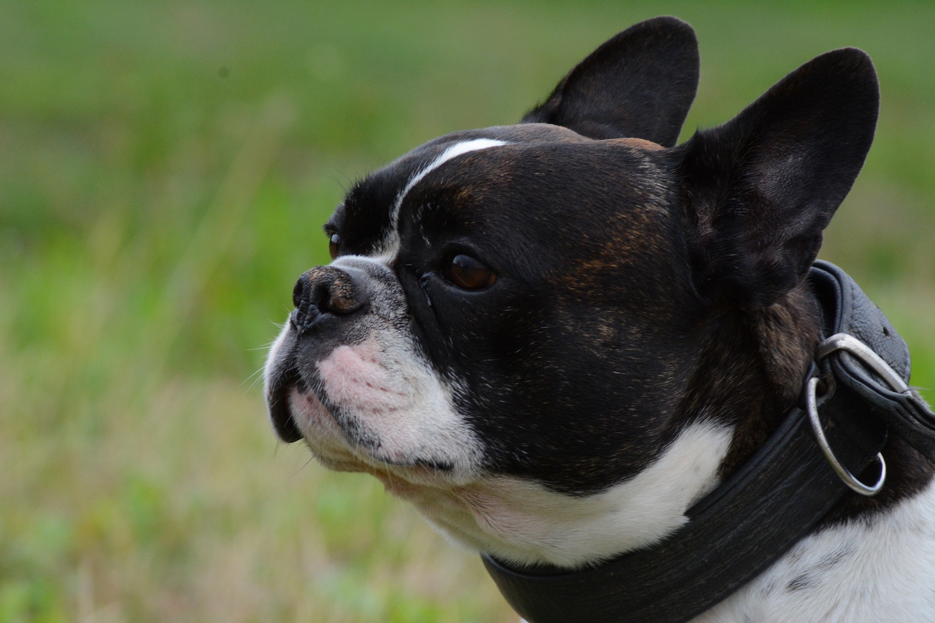 Picture of רוני זיתון